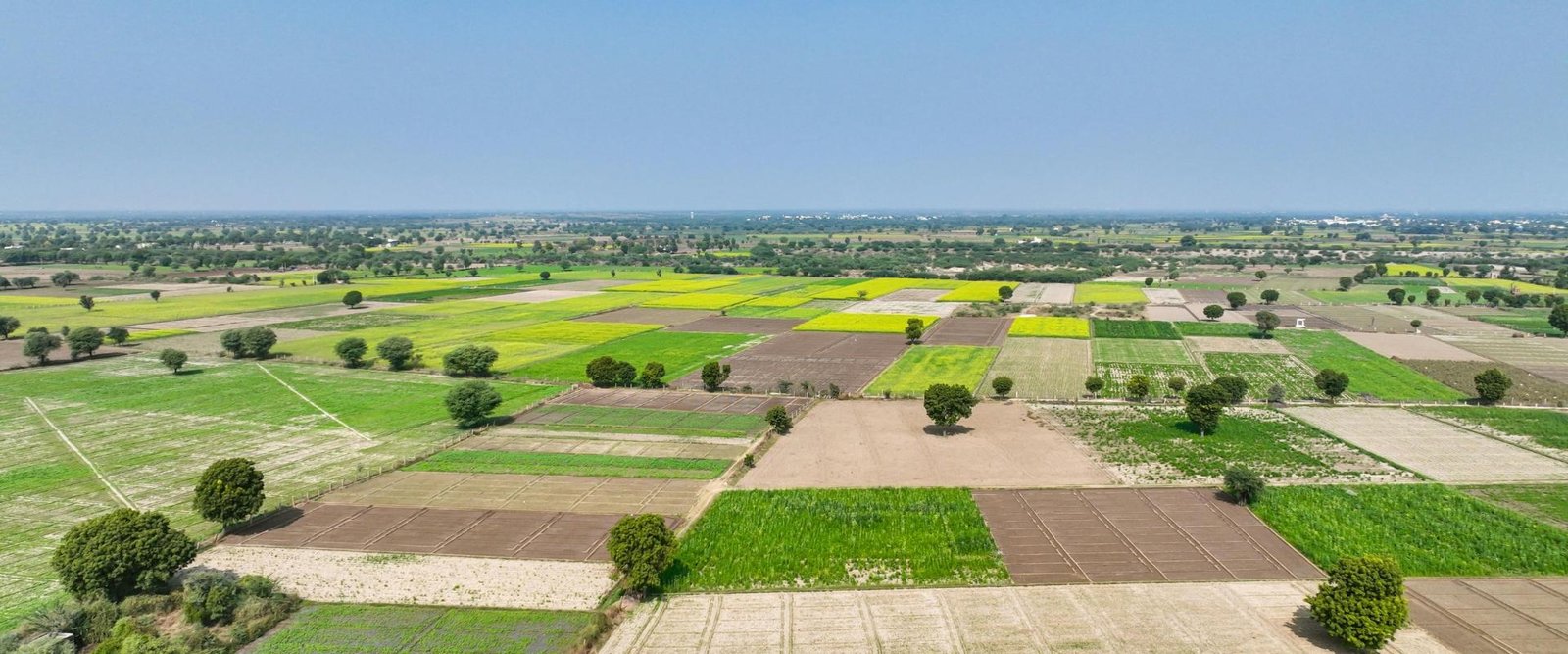 Commercial Plots & Land Opportunities in Tiruppur