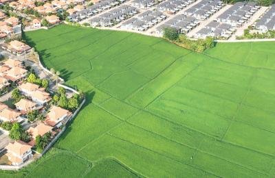 Premium Plots & Land for Sale in Tiruppur