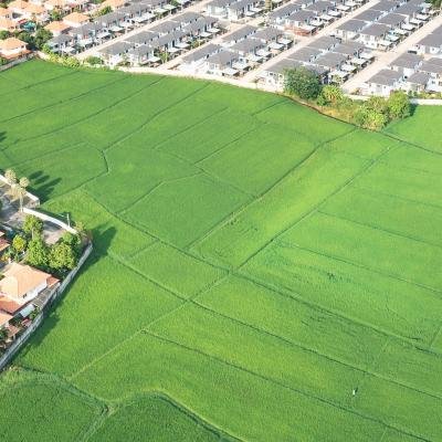 Premium Plots & Land for Sale in Tiruppur